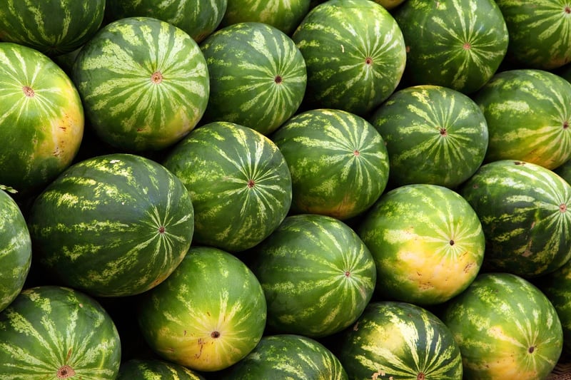 Organic Farmers Market